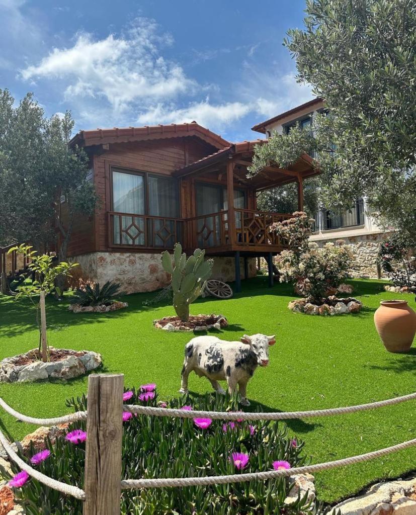 Doganin Ruhu Hotel & Bungalow Kas Exterior photo